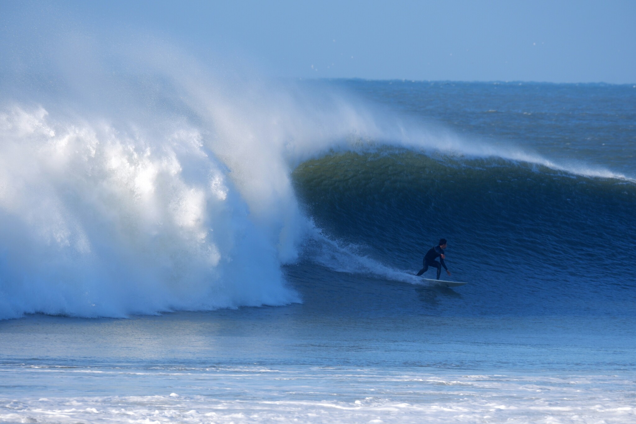Reading the Waves: Mastering the Art of Surfing at San Diego Surf School